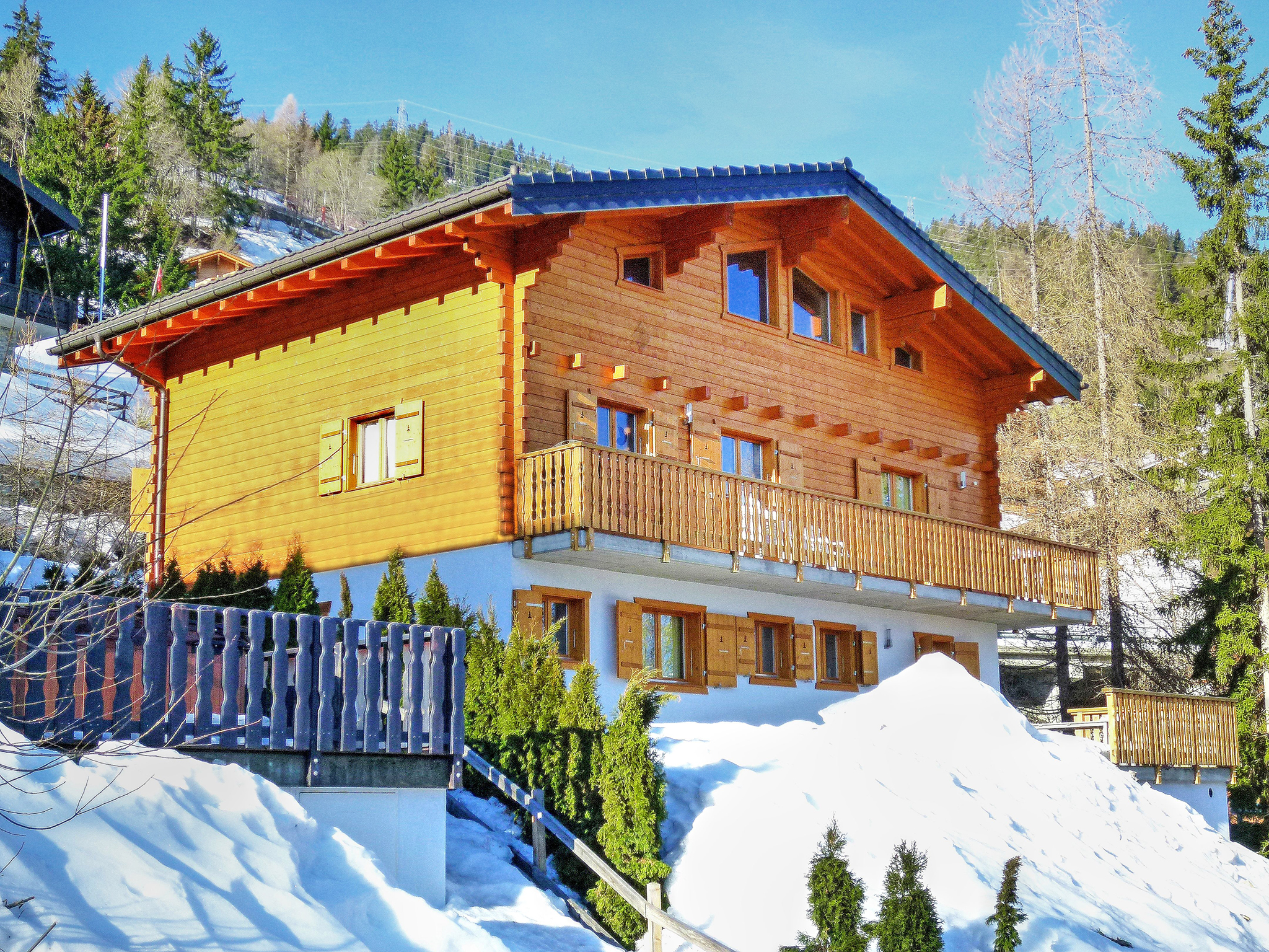 Chalet ski 16 personnes