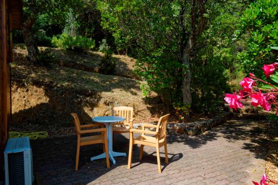 Chalet mimosa