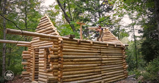 Construire un chalet en bois rond