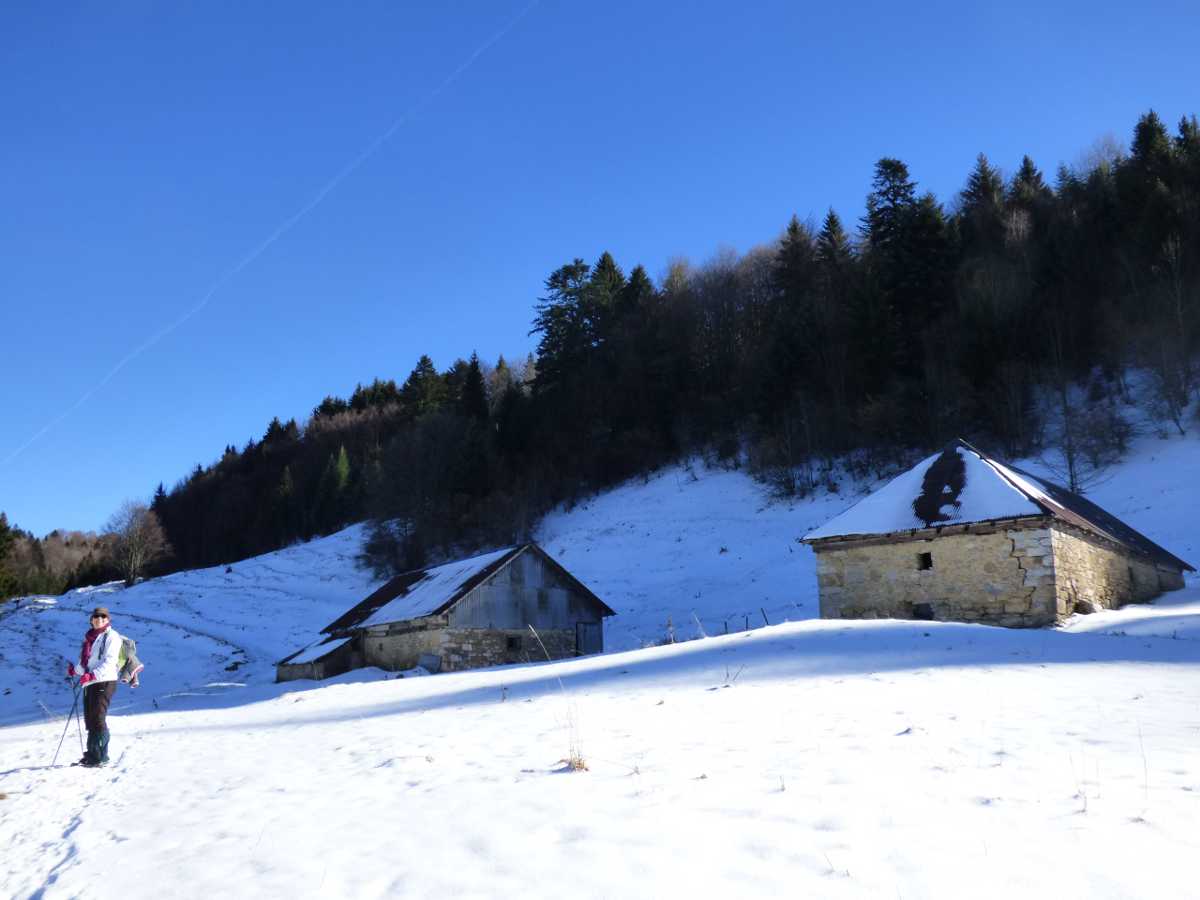 Chalet de la plate