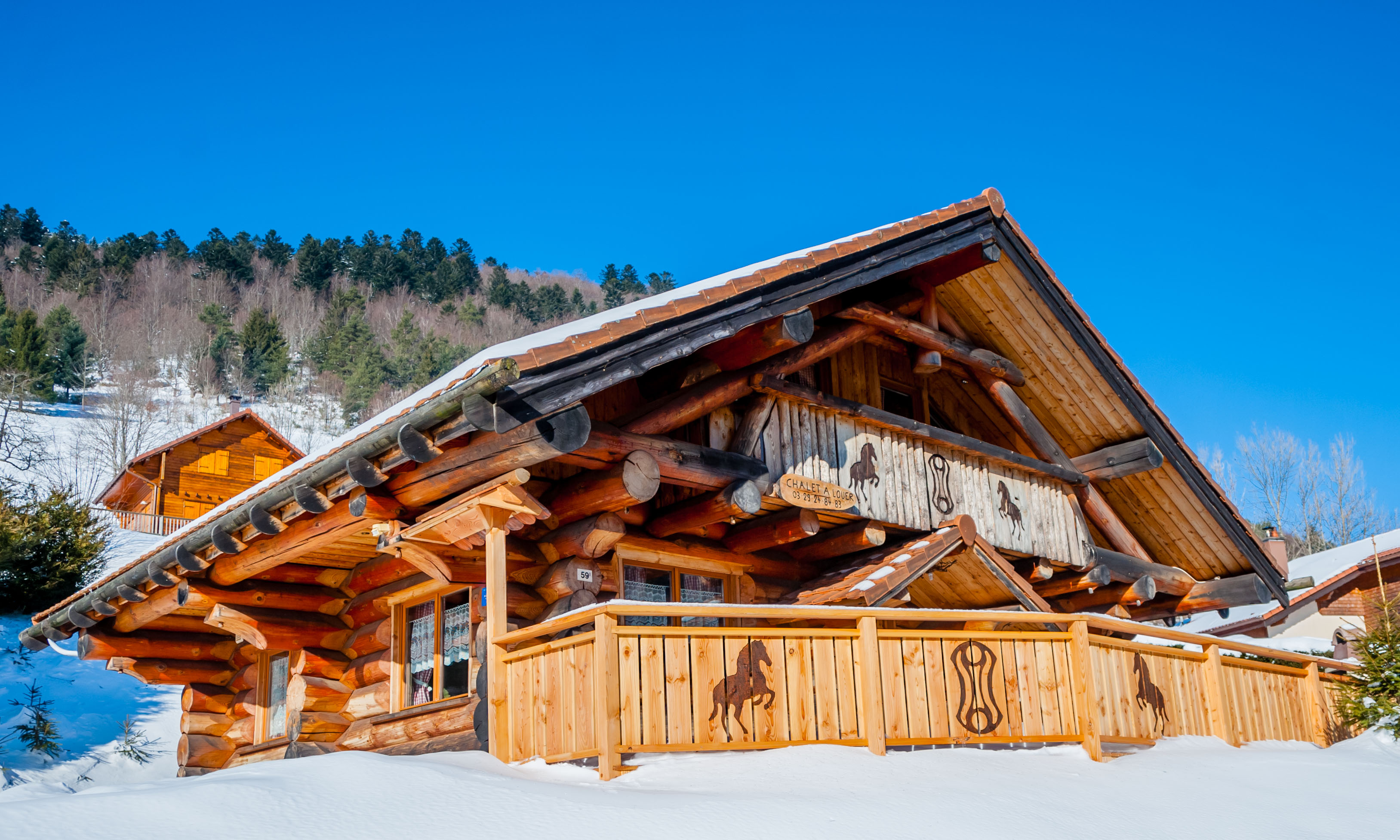 Location chalet en rondin vosges