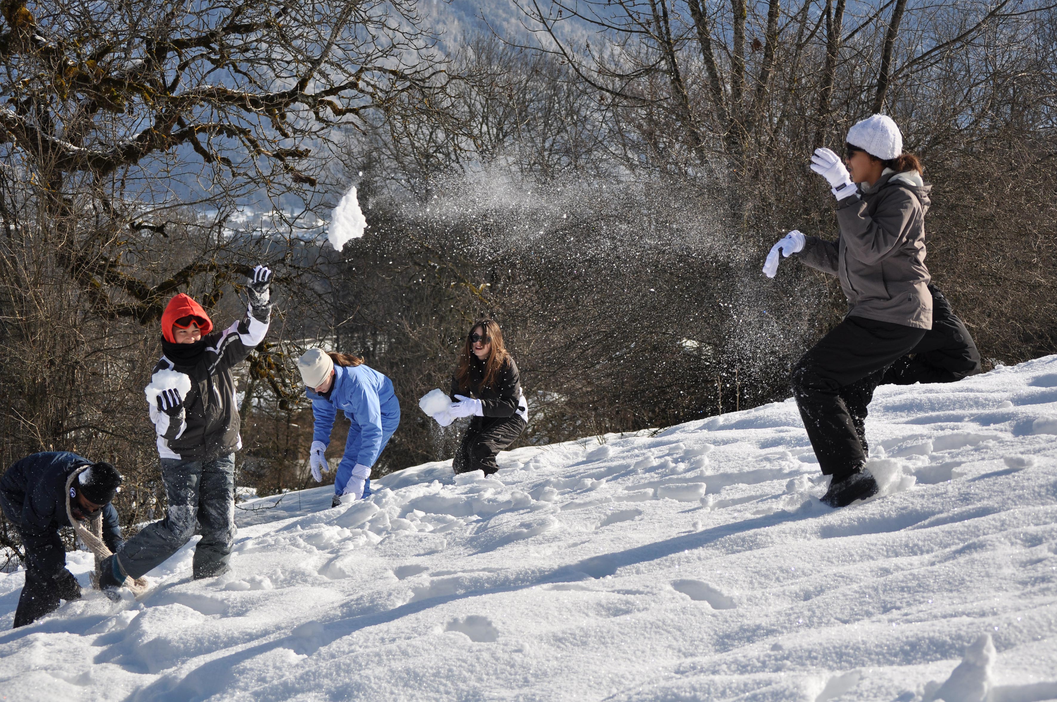 Chalet bechard morillon