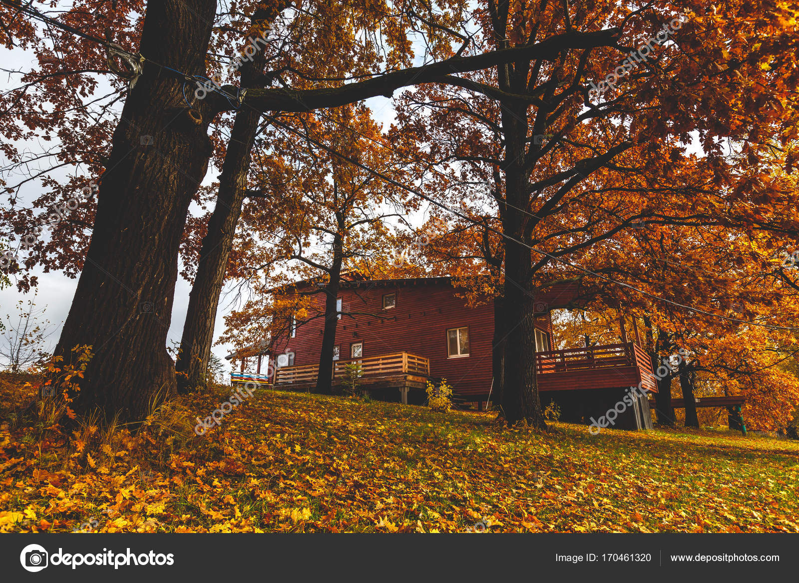 Chalet automne