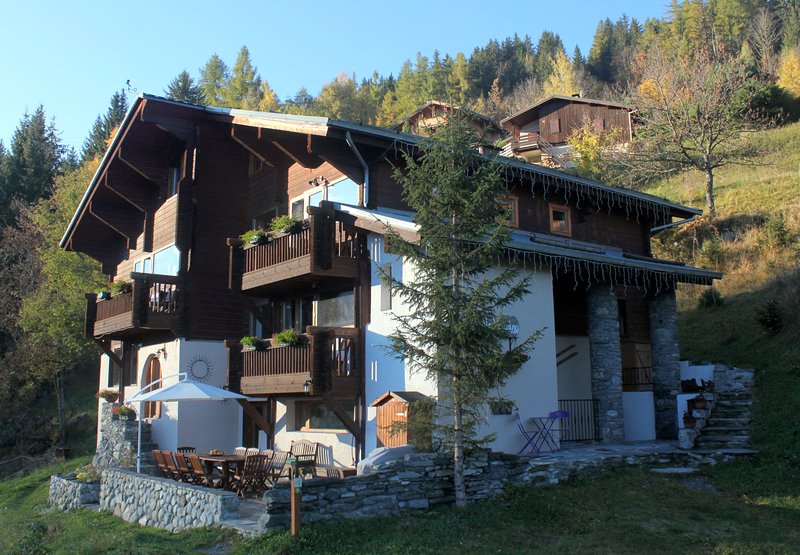 Chalet de la vanoise montchavin