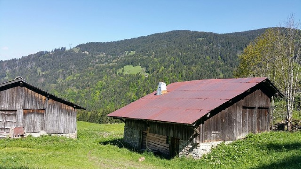 Chalet alpage à vendre