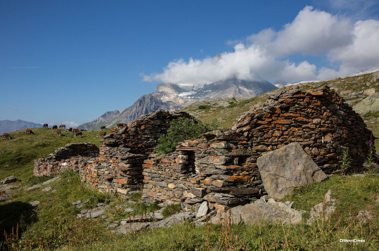 Chalet alpage