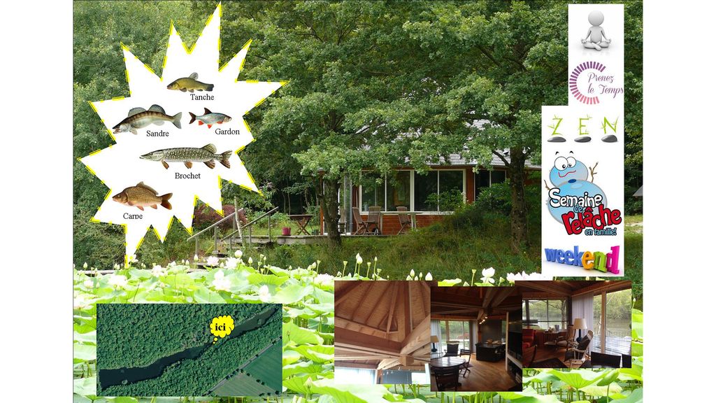 Location chalet bord etang peche