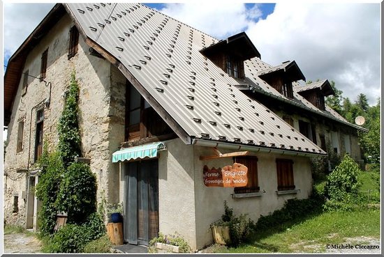 Toiture pour chalet en bois