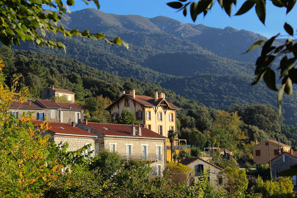 Gite du chalet pietri