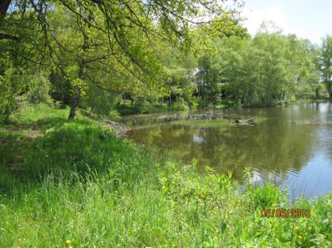 Etang avec chalet a vendre