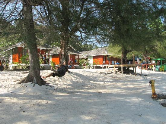 Fauna beach chalet