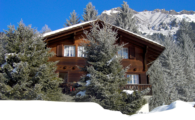 Location de chalet pour noel
