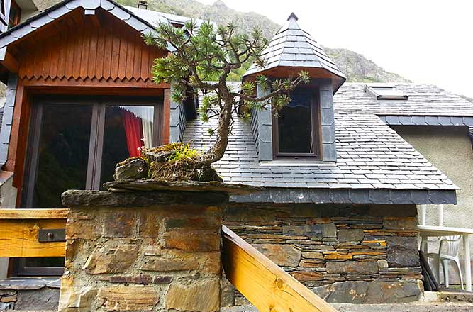 Location petit chalet