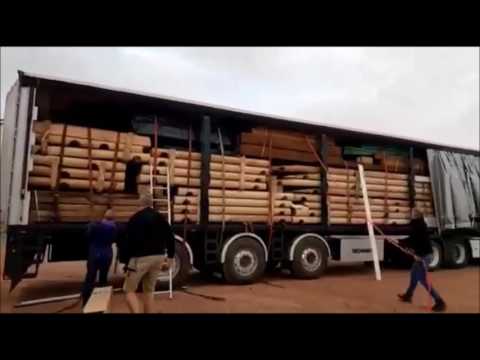Construction de chalet en bois rond