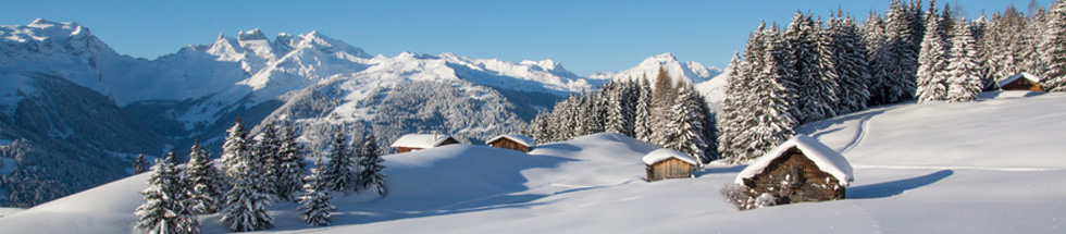 Chalet montagne location particulier