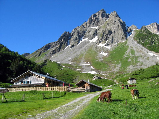 Chalet de balme