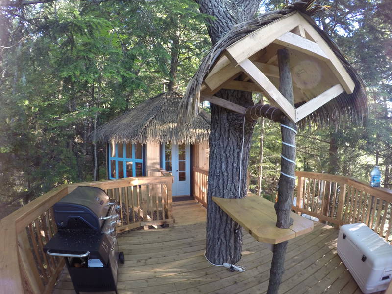 Chalet dans les arbre
