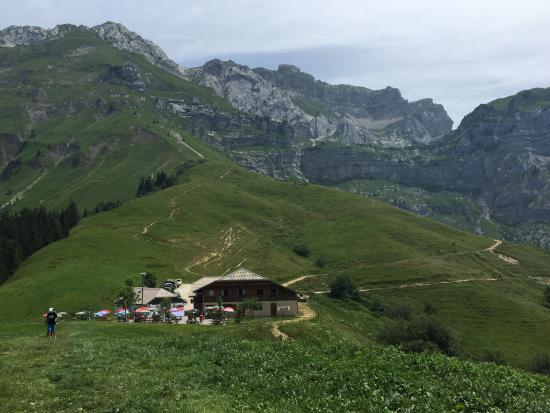 Chalet aulp