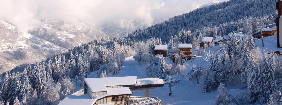 Chalet leman