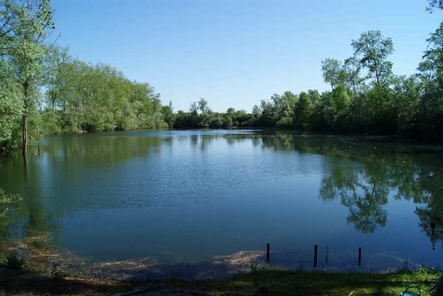 Etang de peche a la carpe avec chalet