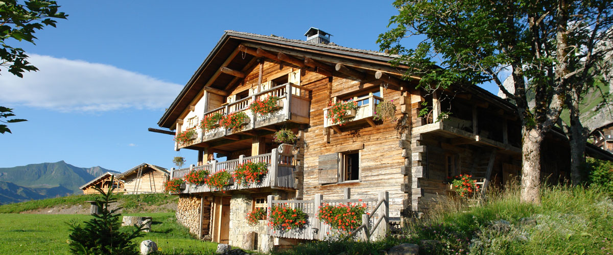 Location chalet pied des pistes 20 personnes
