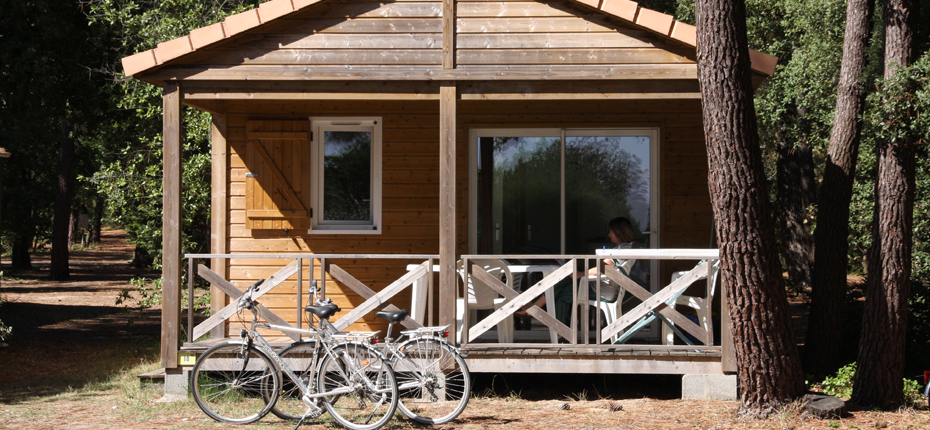 Chalet ile d oleron
