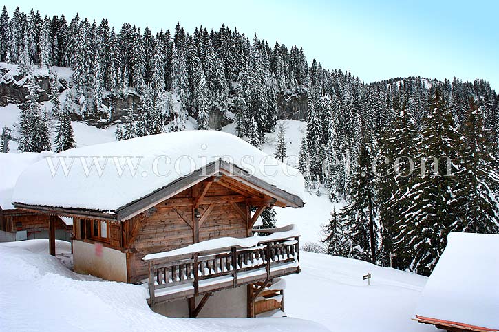 Location chalet pied des pistes 10 personnes