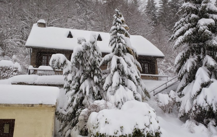 Location chalet au lioran