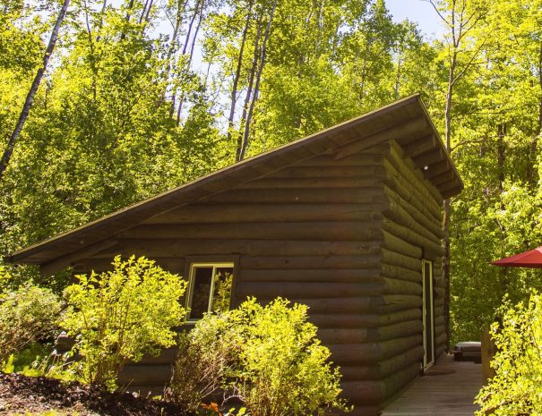 Le chalet au loup