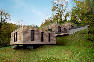 Chalet en bois douglas