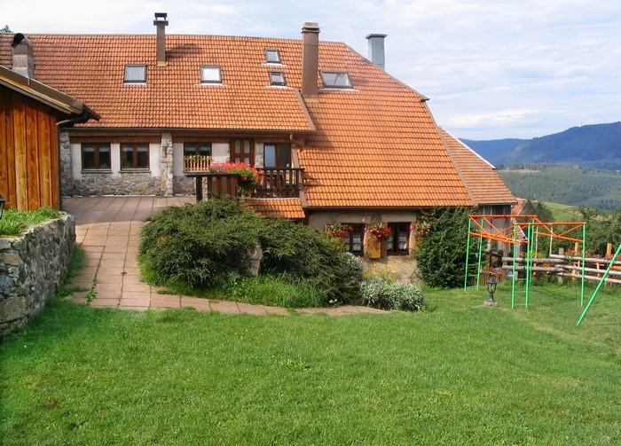 Location chalet alsace 20 personnes