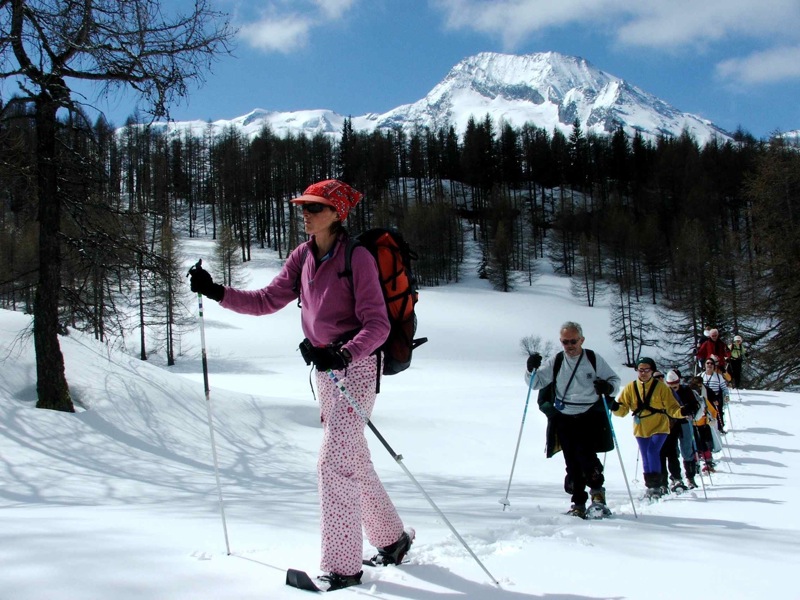 Chalet paradou