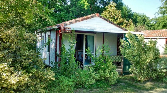 Camping avec chalet