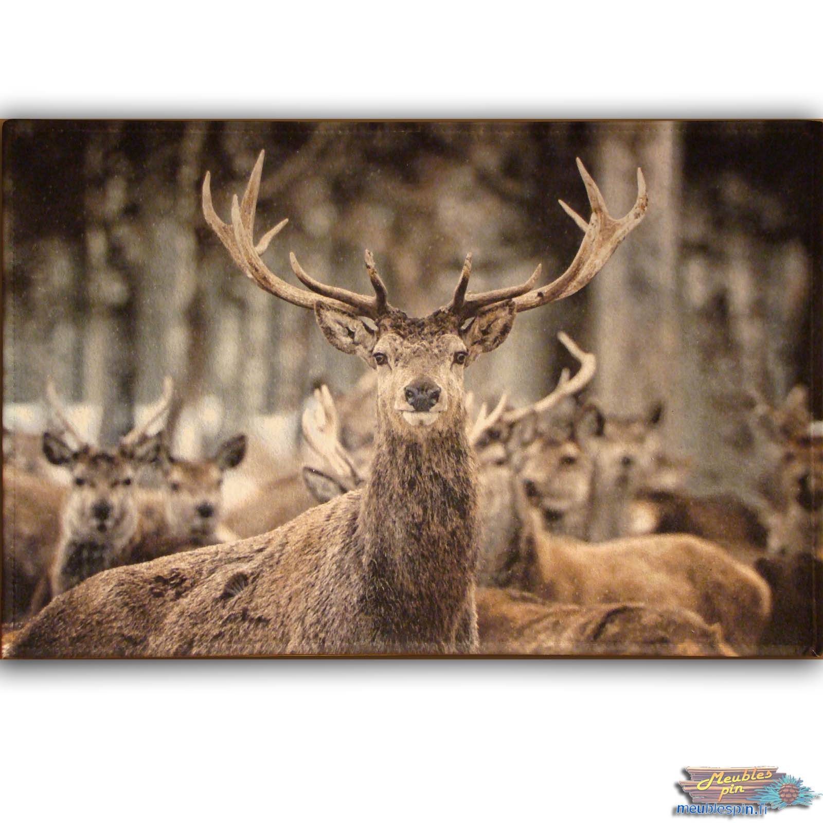 Tapis pour chalet montagne