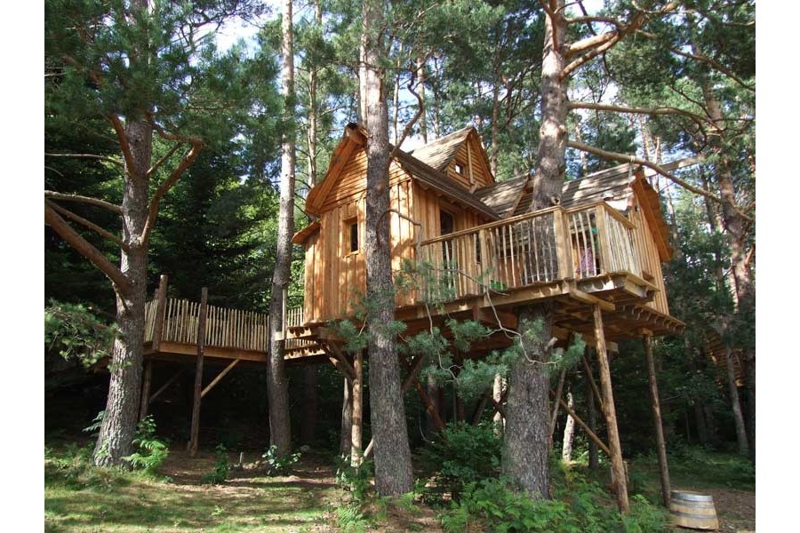 Location chalet dans les arbres