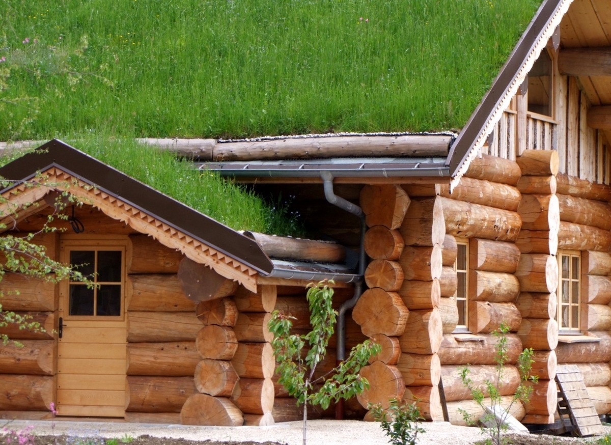 Chalet en tronc d'arbre