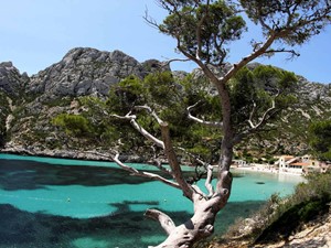 Camping chalet de la mer