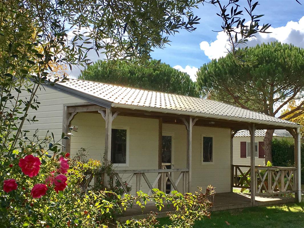 Chalet camping 5 etoiles