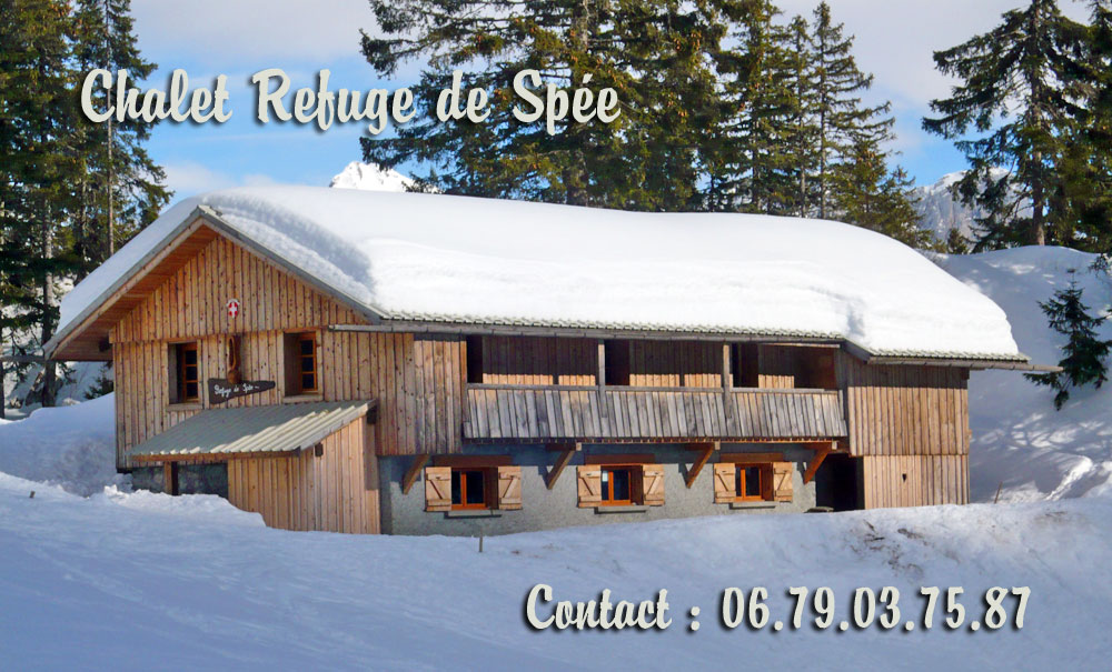 Chalet refuge la montagne