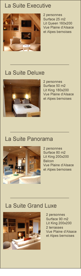 Le grand chalet et spa colmar