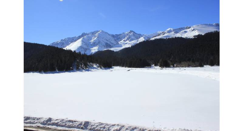 Vente chalet payolle