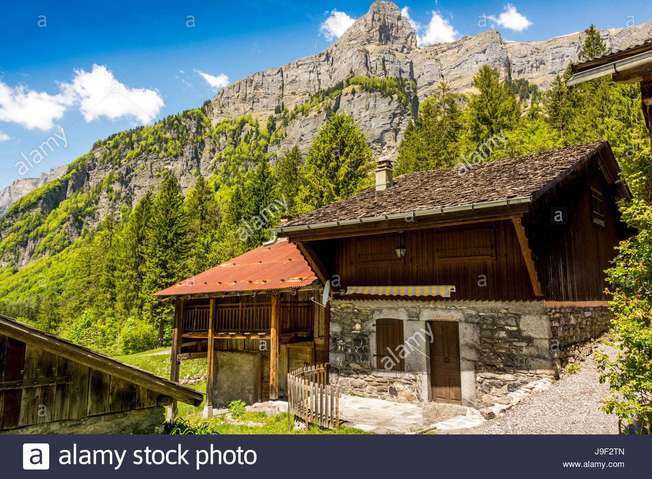 Sixt fer a cheval chalet