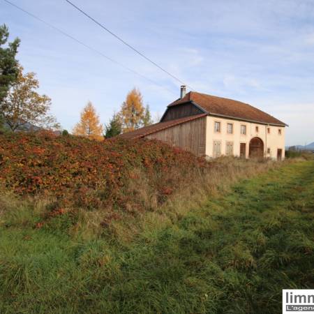 Chalet alsace a vendre