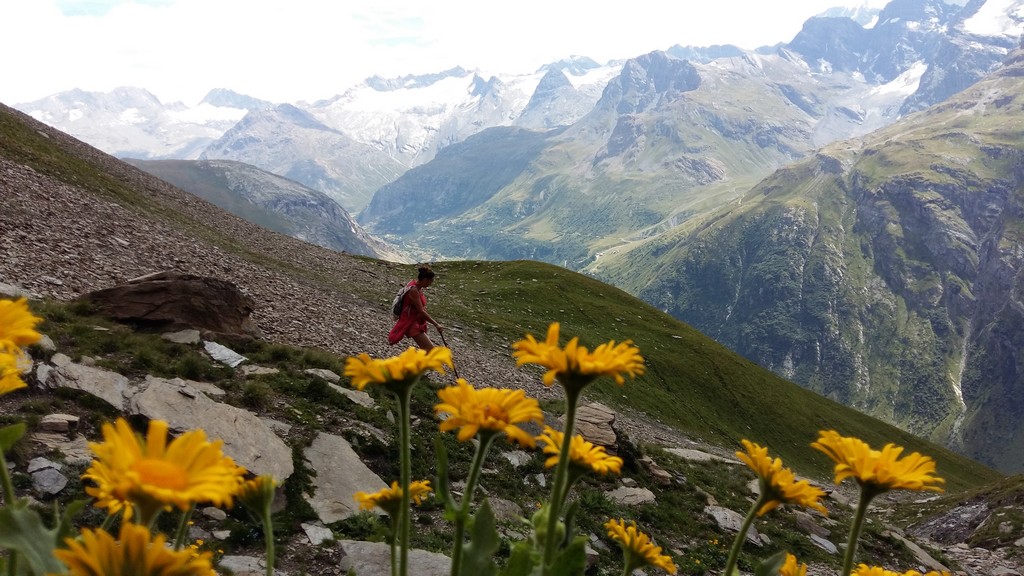 Chalet l'agnelie bonneval sur arc