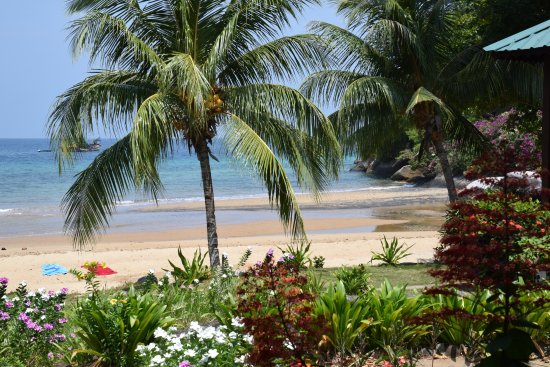 Abc chalet tioman