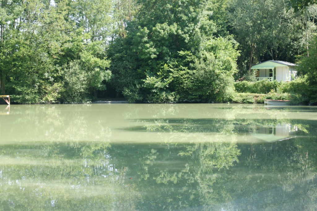 Etang peche carpe avec chalet