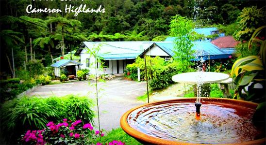 Chalet marina