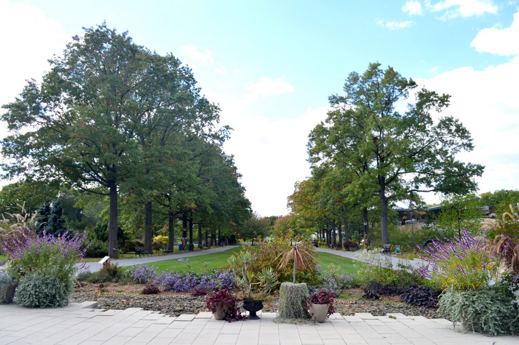 Salon de jardin a botanic