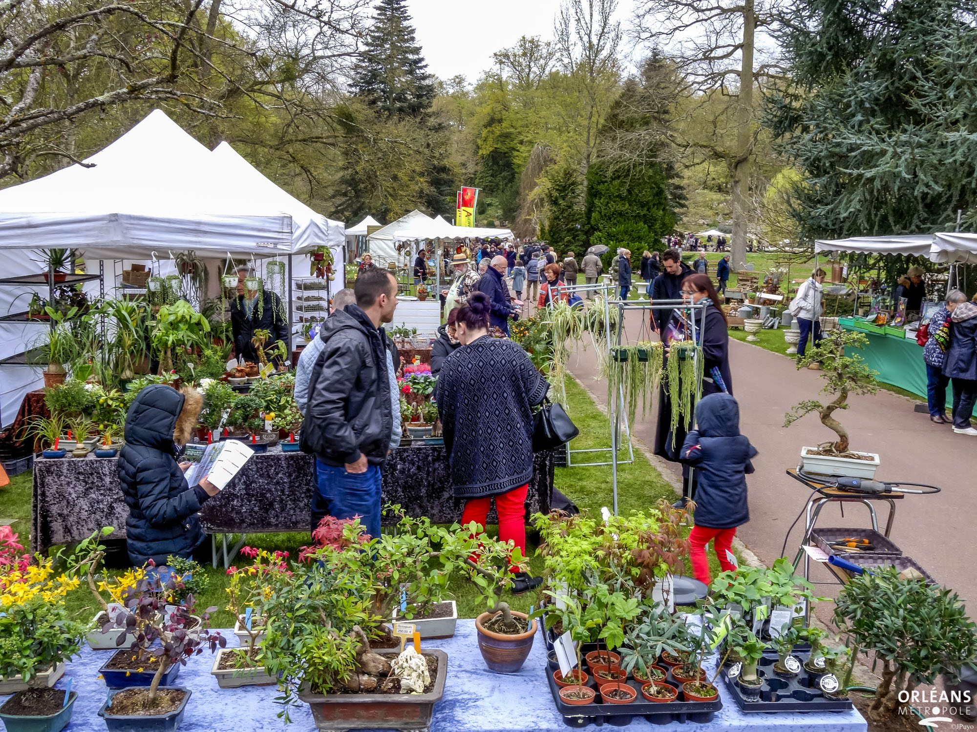 Salon de jardin au jardin des plantes