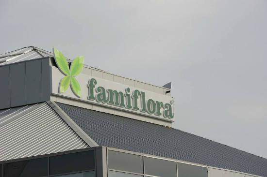 Salon de jardin famiflora